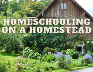 homeschooling on a homestead