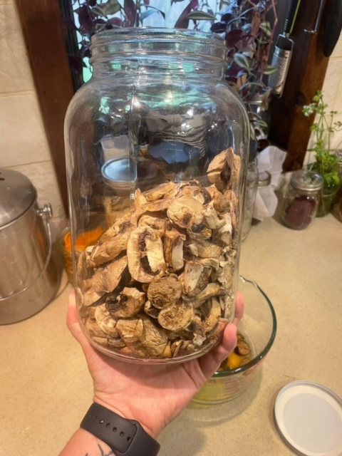 Food Preservation: Freeze Drying
