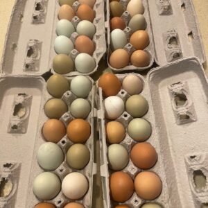 Farm fresh eggs - local colorful eggs arranged in cardboard egg cartons. The eggs are of various shades, including brown, white, green, blue, and speckled. The vibrant colors and diverse patterns on the eggshells indicate their freshness and natural origins. The rustic cardboard egg cartons provide a sustainable and eco-friendly packaging. The image reflects the charm of a local farm and the rich variety of fresh eggs it offers.
