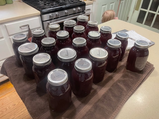 Food Preservation Water Bath Canning