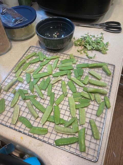 Food Preservation Dehydrating and Drying