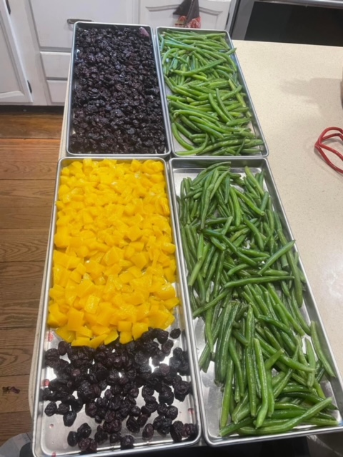 Food Preservation: Freeze Drying
