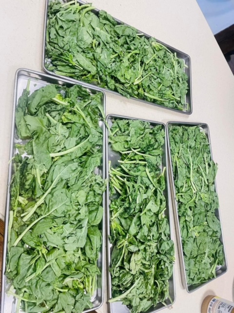 Food Preservation: Freeze Drying
