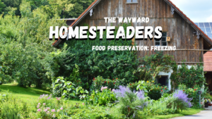Food Preservation: Freezing