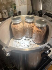 Food Preservation Pressure Canning