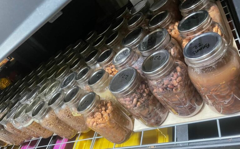 Food Preservation Pressure Canning