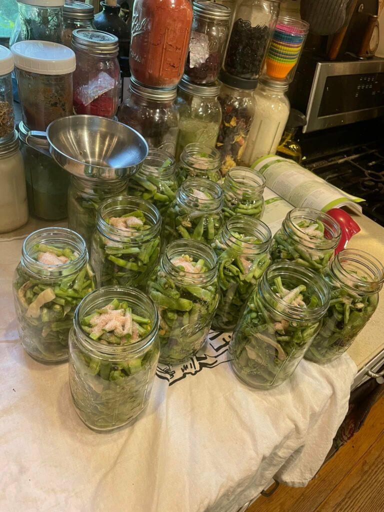 Food Preservation Pressure Canning