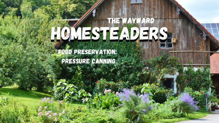 Food Preservation Pressure Canning