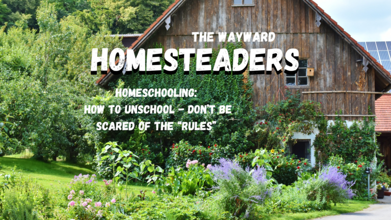 How to Unschool