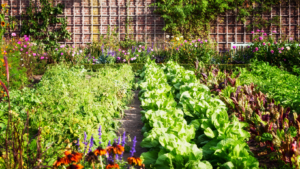 When the Garden Fails