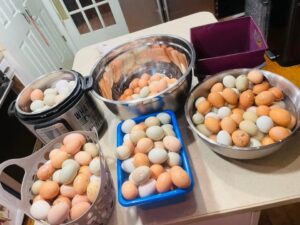 How to Freeze Dry Eggs: 25 Year Shelf Life