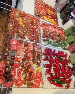 How to Preserve Food in a Dehydrator