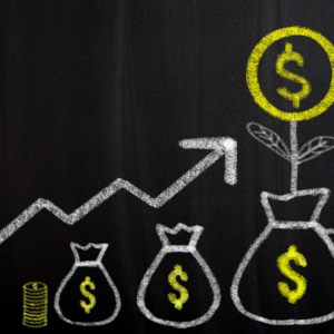 Ways to Make Money Homesteading