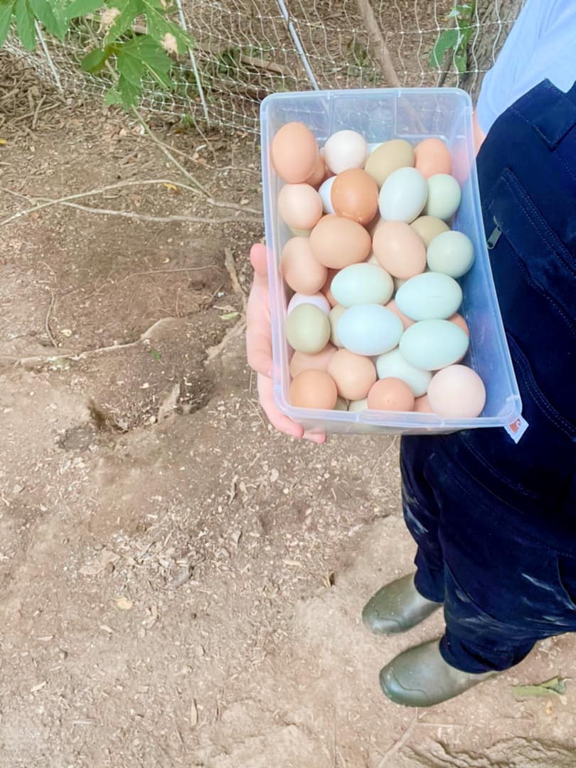 Making Pickled Eggs with Old Pickle Brine
