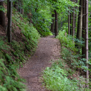 Getting Outside with Your Family