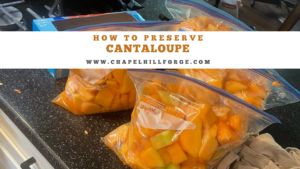 Fresh cantaloupe packed in bags, ready for freezing to preserve their sweet summer flavors. These bags of juicy cantaloupe will be stored in the freezer, ensuring a delicious taste of summer all year round. #FreezingCantaloupe #PreserveSummerFlavors