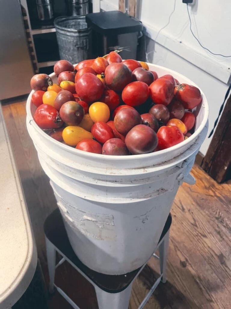 How to Make Tomato Paste 10 Ways to Use Tomato Paste