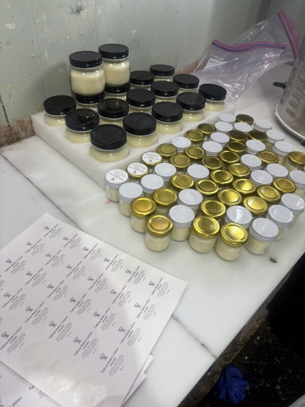 Tallow Balm - Dry Skin Relief - Image 2