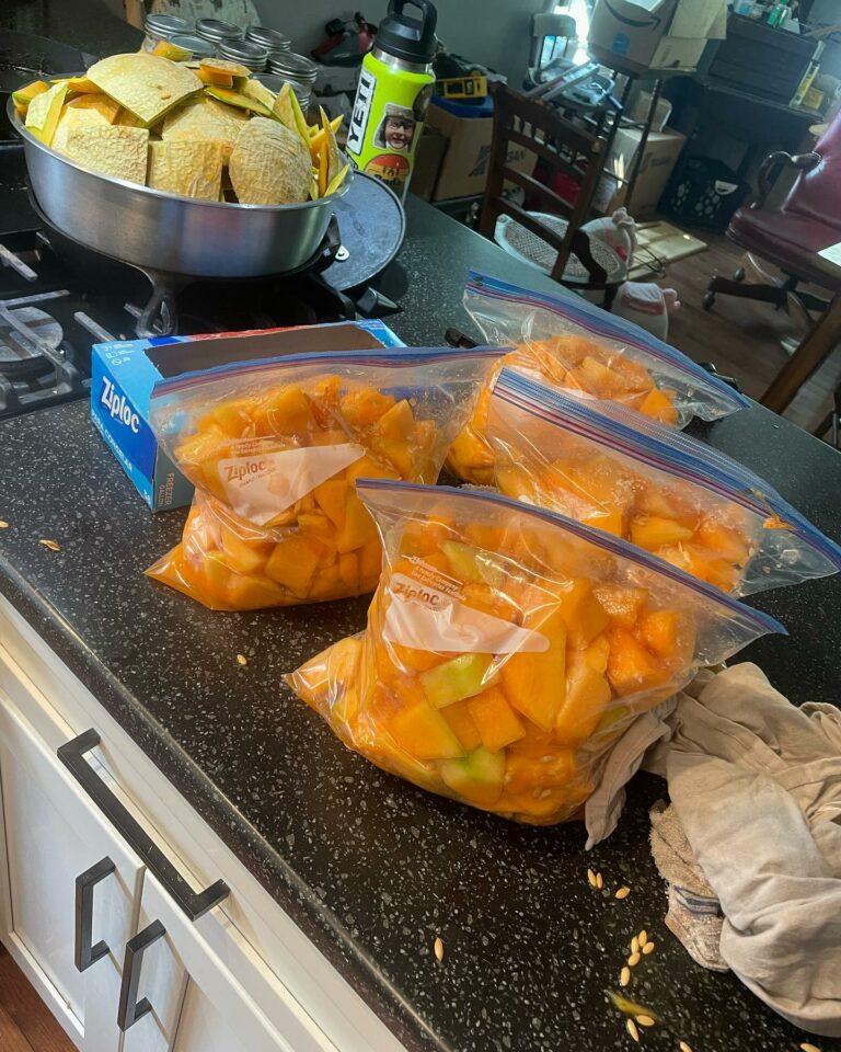 How to Preserve Cantaloupe: Freshly harvested cantaloupe packed in bags, ready for freezing to preserve their sweet summer flavors. These bags of juicy cantaloupe will be stored in the freezer, ensuring a delicious taste of summer all year round.