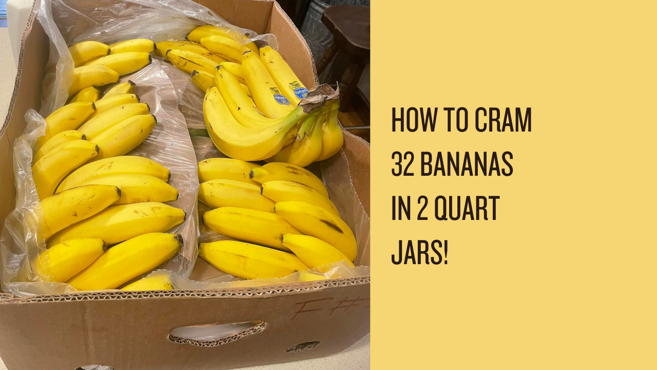 How to Freeze Dry Bananas to Make Banana Powder for Banana Bread