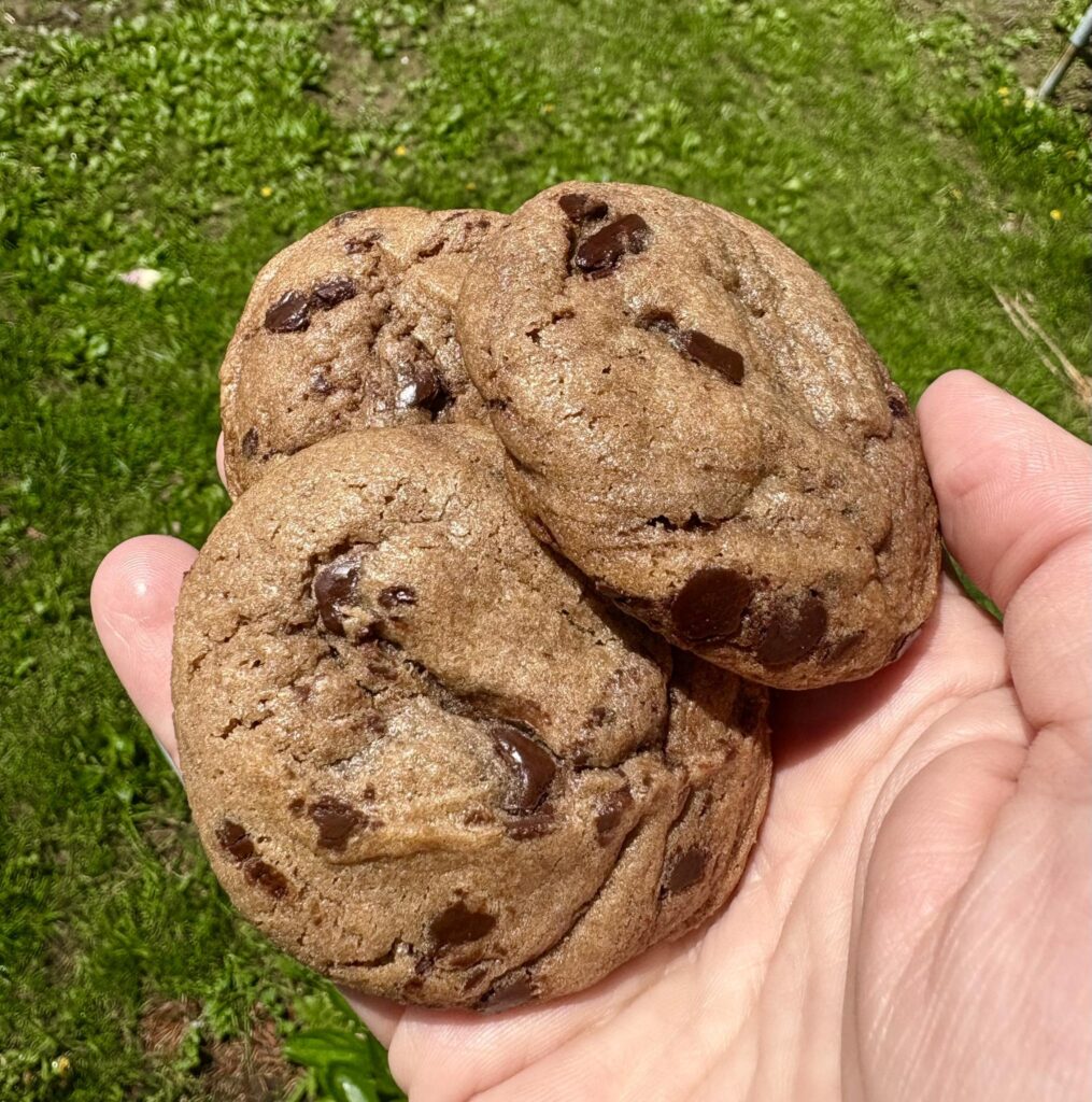 Dark chocolate orange cookies
