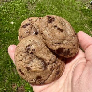 Dark Chocolate Orange Cookies