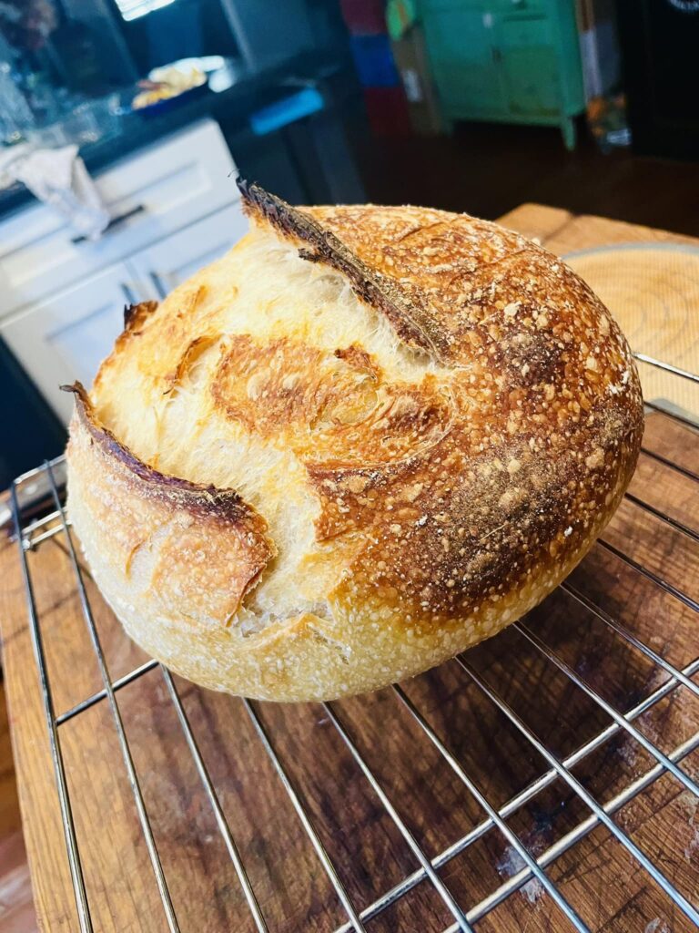A completed loaf of sourdough that was bulk fermented for the perfect amount of time.